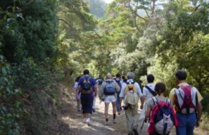 Transporte en autobús para excursiones